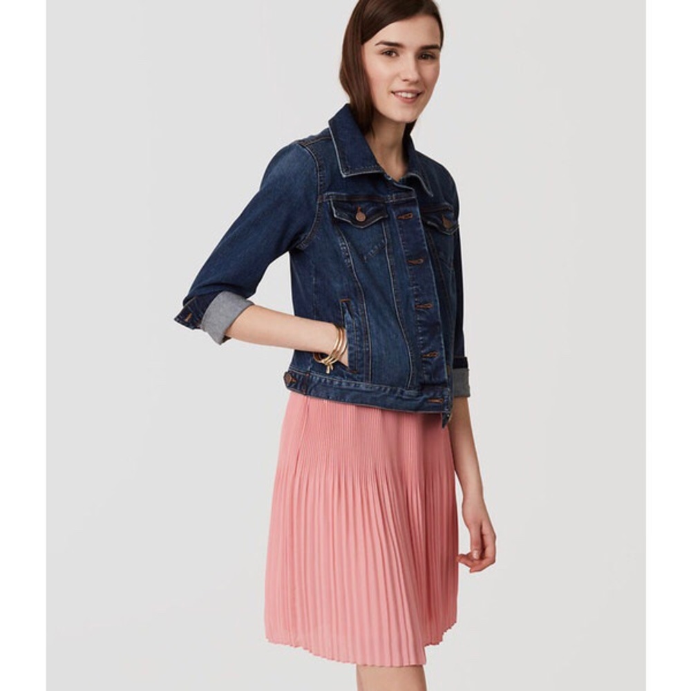 Ann Taylor Loft Fluid Pleated Skirt in Pink (NWT)